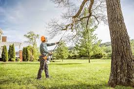 Best Tree Mulching  in Nyon Lake, CA