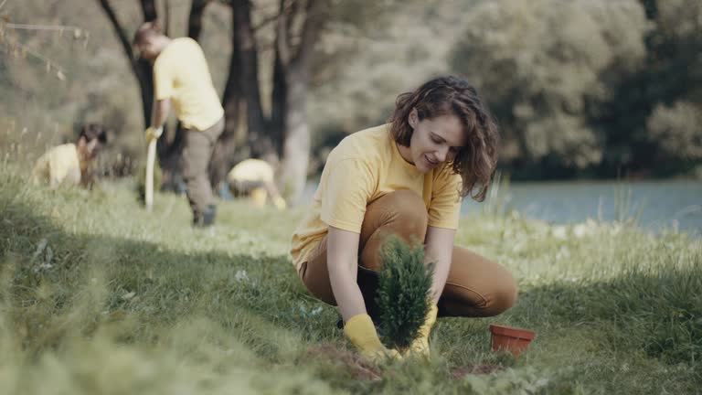 Best Lawn Maintenance Plans  in Nyon Lake, CA